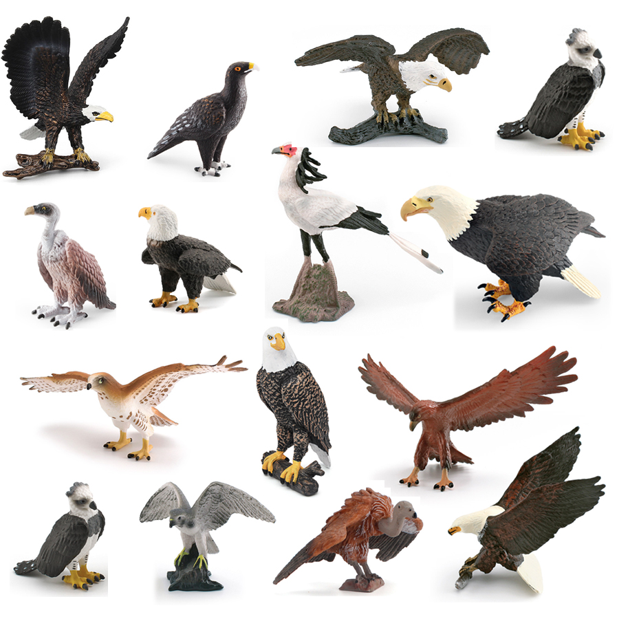 Kids Toys China - Realista animais selvagens pássaros de alegria