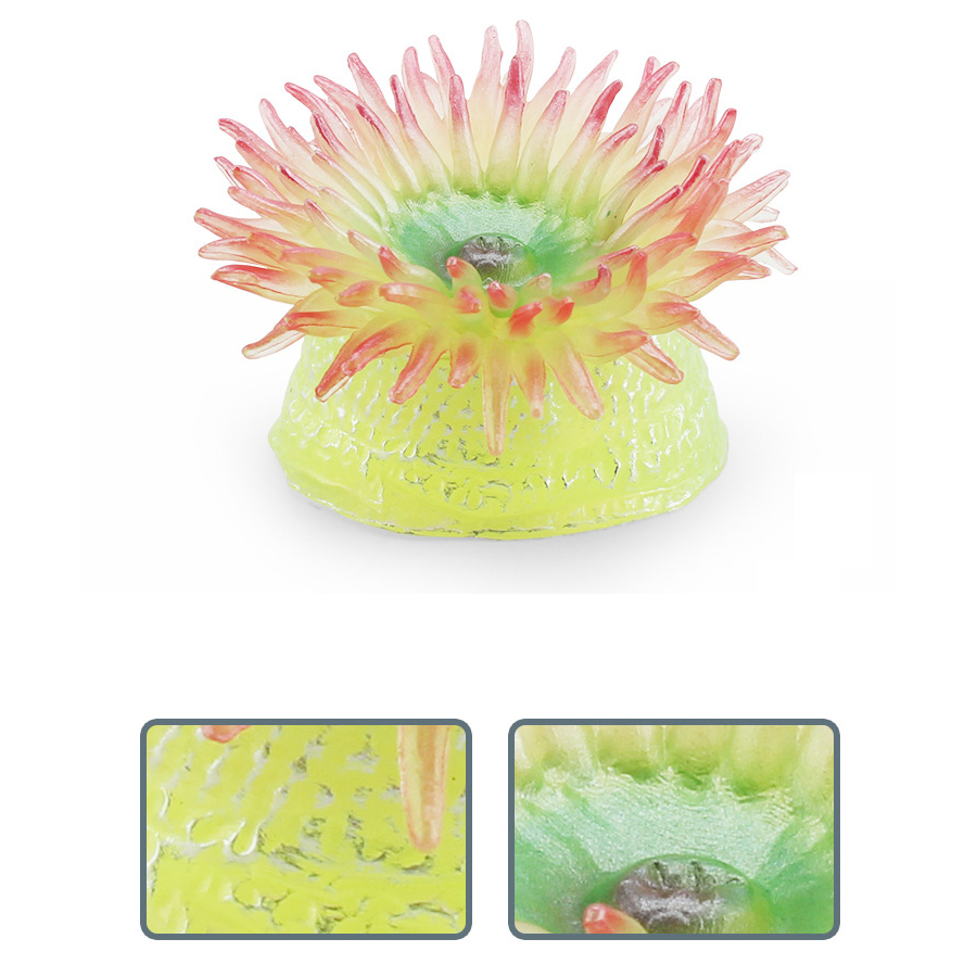 Realista coral anêmonos do mar - Kids Toys China avaliação e preço