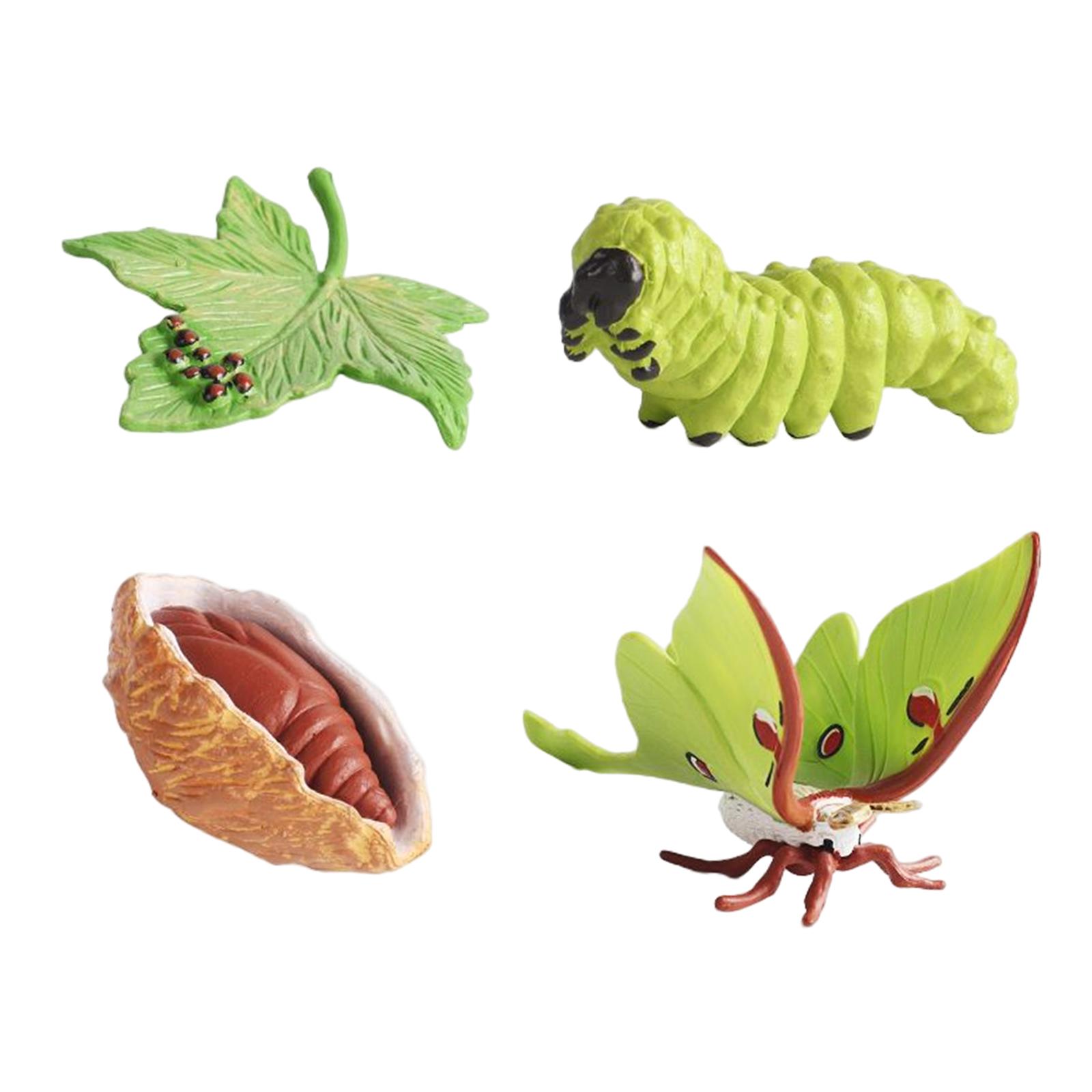 Figuras do Ciclo de Vida Anima - Kids Toys Cycle avaliação e preço