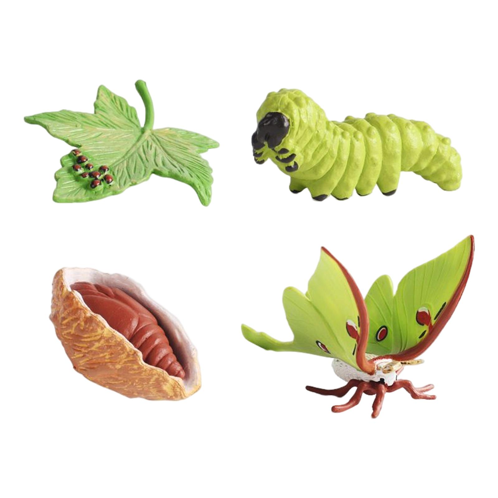 Figuras do Ciclo de Vida Anima - Kids Toys Cycle avaliação e preço